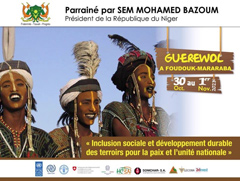 The government of Niger uses our photo for the promotion posters for the Guéréwol. Of course we were happy to give them permission.