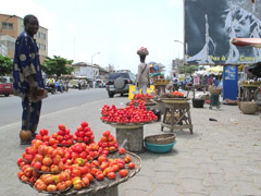 Tomatoes in the market