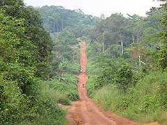 Filming in Cameroon : A Field Producer's Photos of Cameroon