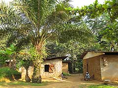 Filming in Cameroon : A Field Producer's Photos of Cameroon