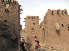 A Dogon village