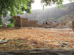 A Dogon village