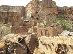 A Dogon village