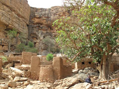 A Dogon village