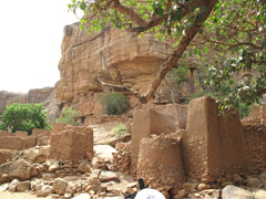 A Dogon village