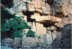 A Dogon village