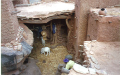 A Dogon household