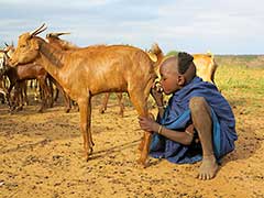 The Hamer tribe of the Omo Valley