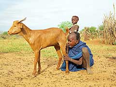 The Hamar People of the Omo Valley