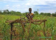 The Hamar tribe of the Omo Valley