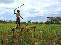 The Hamar People of the Omo Valley