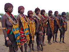 The Hamer tribe of the Omo Valley