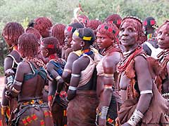 The Hamer People ( Hamar tribe ) of the Omo Valley : Bull Jumping ...