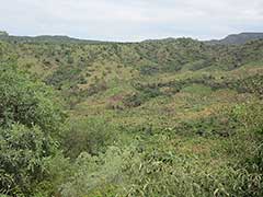 On the road to visit The Surma or the Suri People of the Omo Valley