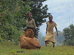 Young girls of the Bench ethnic group