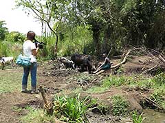 The love of the Surma people for their cattle is heartwarming.