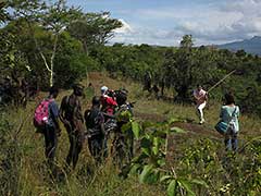 Training for the Surma stickfighting