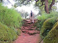 path to the viewpoint to see the Blue Nile