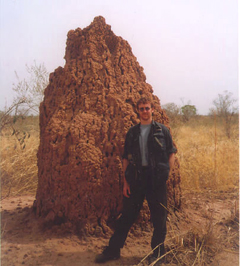 A termite nest