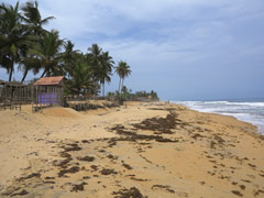 the beach : near to Abidjan