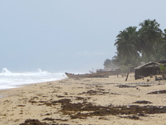 the Ivory Coast