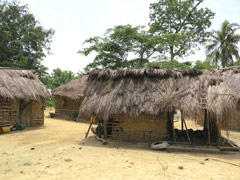 typical village