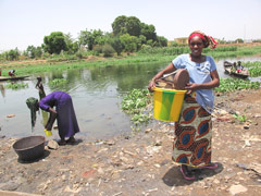 The Niger River near to Bamako