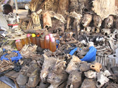 A market in Bamako : "products" for use in traditional medicine as well as by "sorcerers".