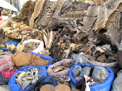 Bamako