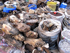 A market in Bamako : "products" for use in traditional medicine as well as by "sorcerers".