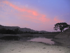 Bandiagara, Mali : Dogon Fish Festival : the sacred pond called Antogo