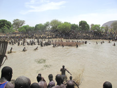 Bandiagara, Mali : Dogon Fish Festival or Ritual