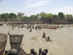 Bandiagara, Mali : Dogon Fish Festival or Ritual