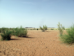 Mauritania