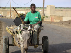 Mauritania