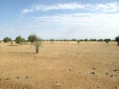 Mauritania