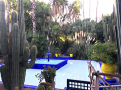 Majorelle Garden