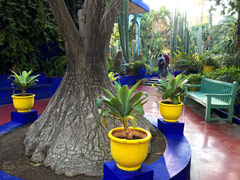 Majorelle Garden