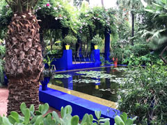 Majorelle Garden