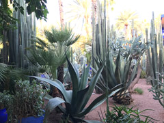 Majorelle Garden