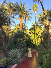 Majorelle Garden