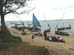 The Mozambique Channel