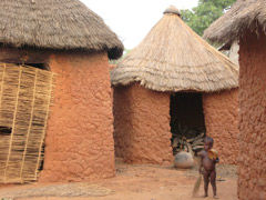 A Hausa village