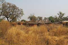 A Fula ( Fulani ) village.