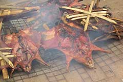 This big rodent is called a Grass Cutter, and is a very popular delicacy all over West Africa.