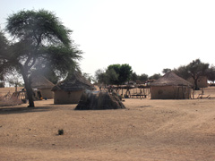 A village of the Fula tribe (or Toucouleur people )