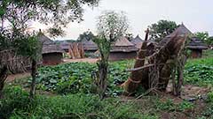 South Sudan