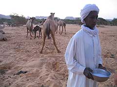 Chad, The Ennedi Plateau