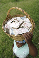 basket of money