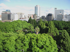 View of the Harare city center from my room at Meikles Hotel